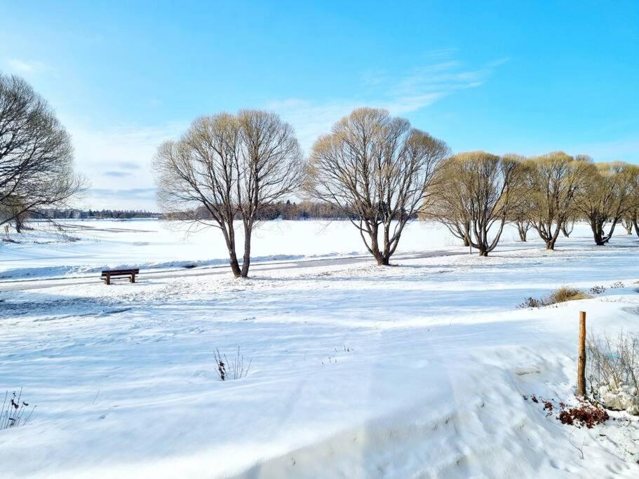 a snow covered field with trees and a bench at Villa Kaisla in Raahe