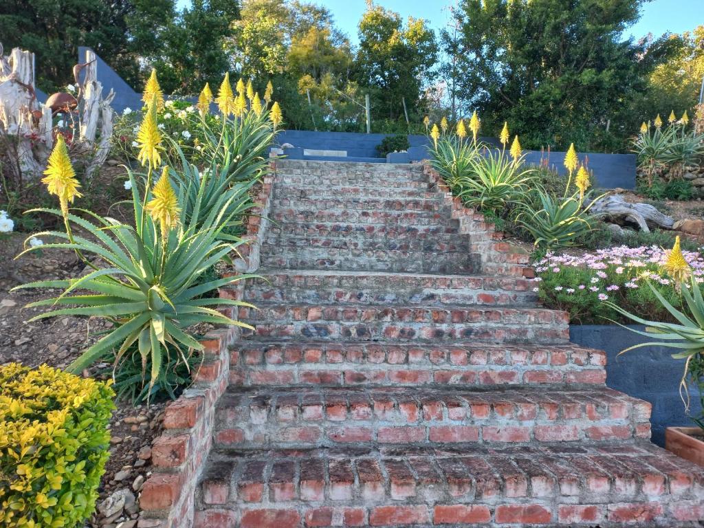Giardino di 20 On Somerset