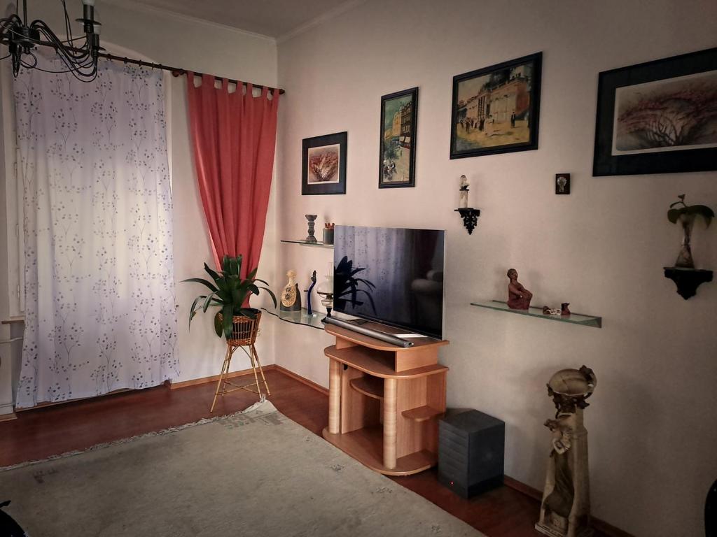 Televízia a/alebo spoločenská miestnosť v ubytovaní Vila Historica Karlovy Vary