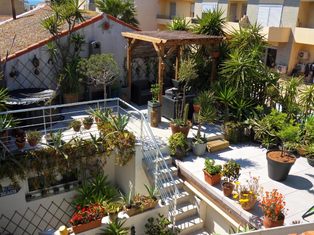 een binnentuin op een gebouw met potplanten bij SETE BELLE MAISON DE VILLE 121 m2 A 2 mn DE LA PLAGE AVEC JACUZZI in Sète