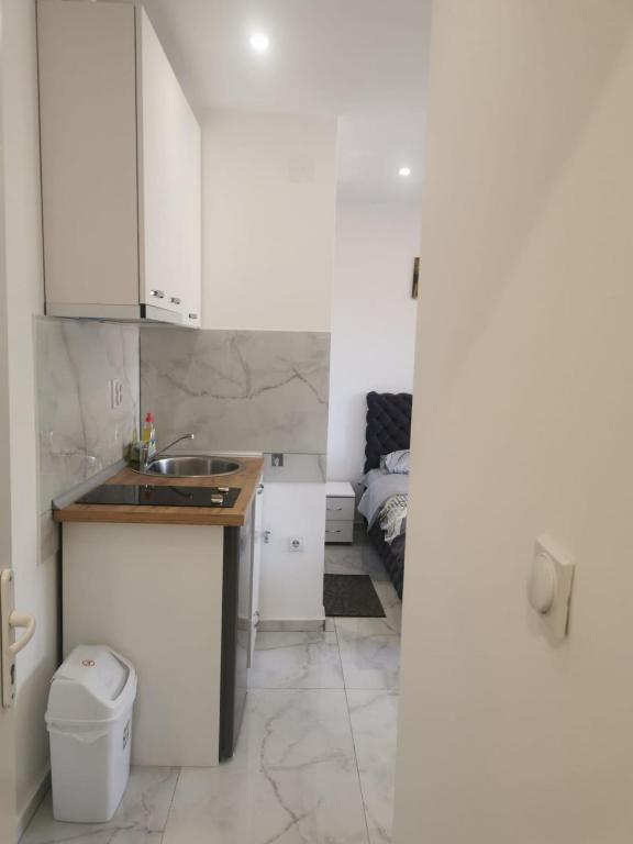 Kuchyň nebo kuchyňský kout v ubytování Apartman Aleksandar 1