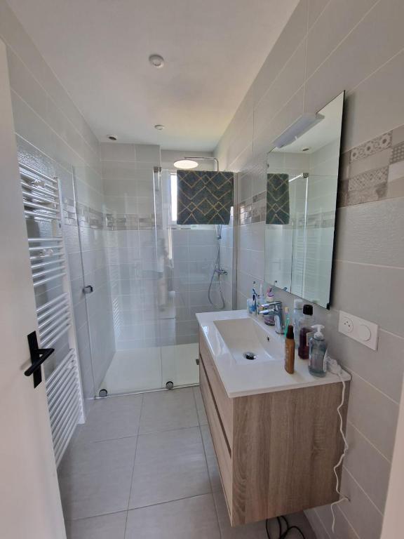 a bathroom with a shower and a sink and a mirror at Chambre en centre ville proche mer in Saint-Pol-de-Léon