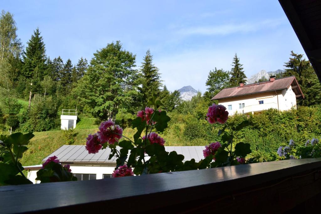 Pension Haus Rohrmoser - 17