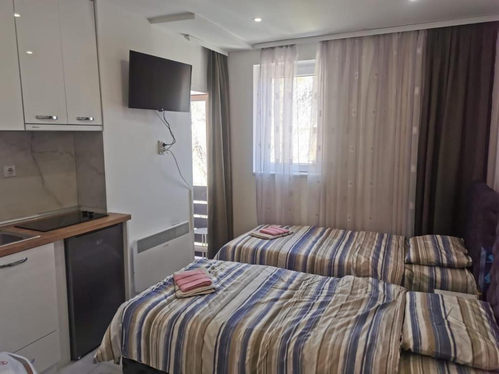 um quarto de hotel com duas camas e uma cozinha em Apartman Aleksandar 2 em Ribarska Banja