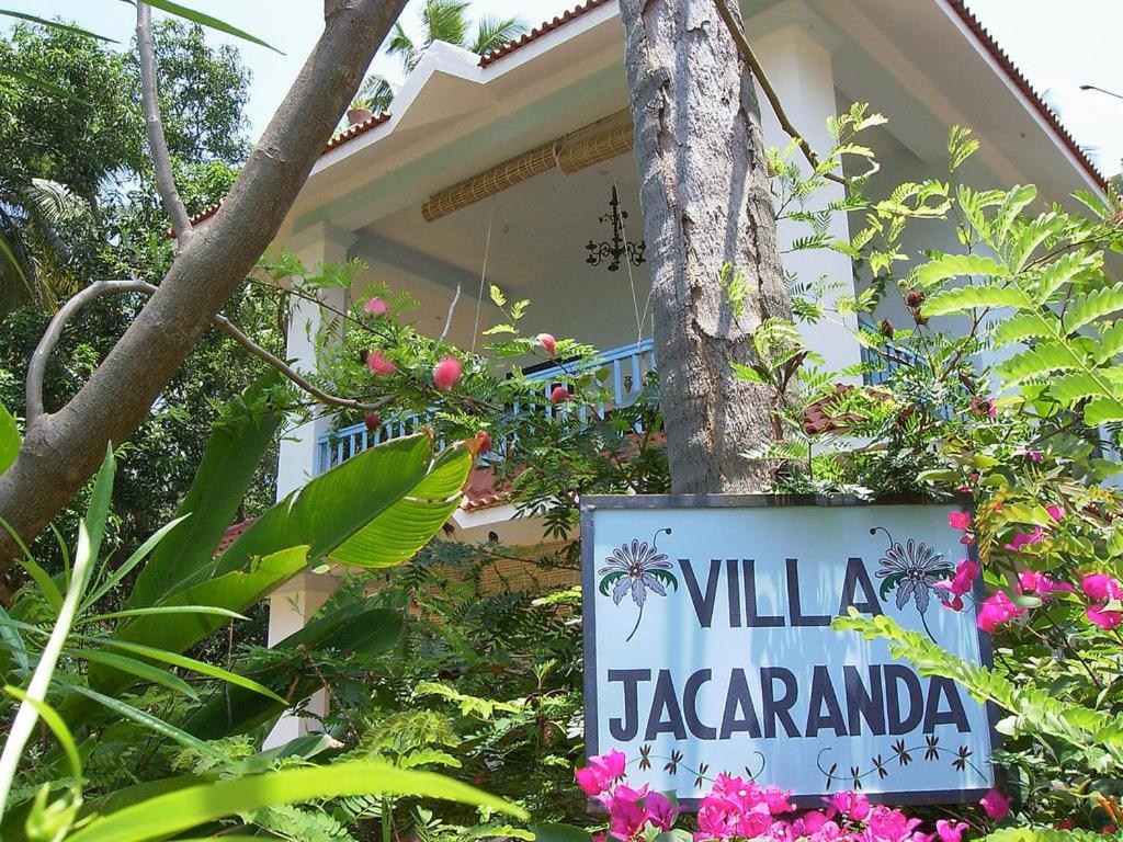 Zahrada ubytování Villa Jacaranda