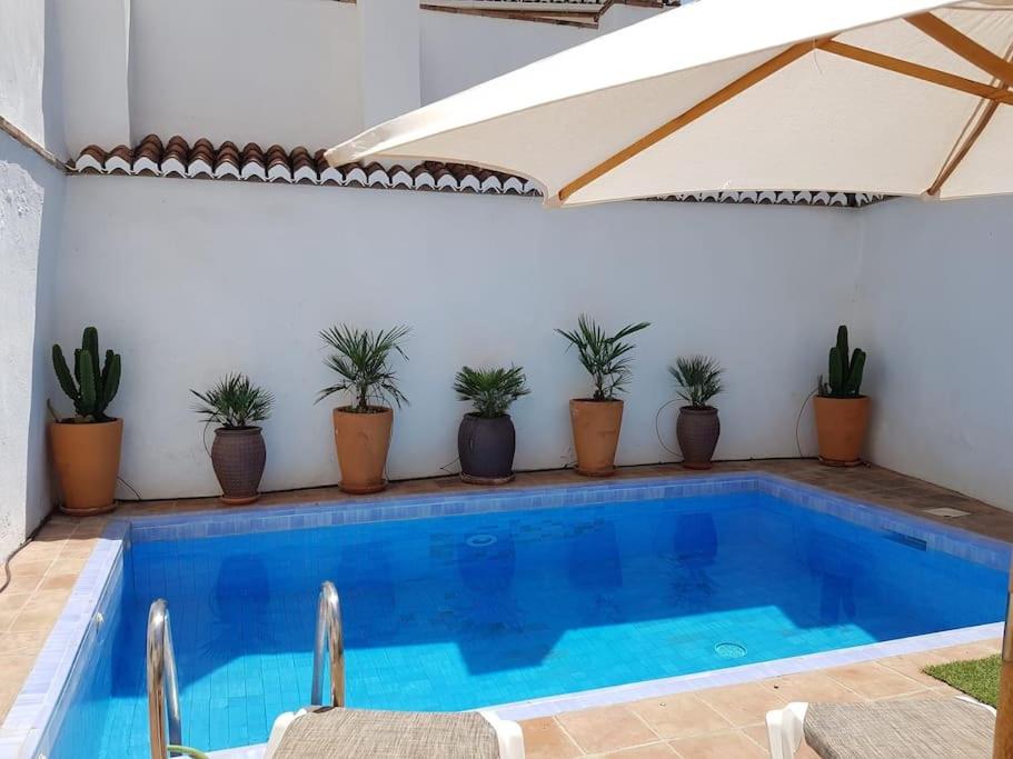 una piscina con macetas en un patio en Private pool in Lecrin 30 min Granada/beach, en Albuñuelas