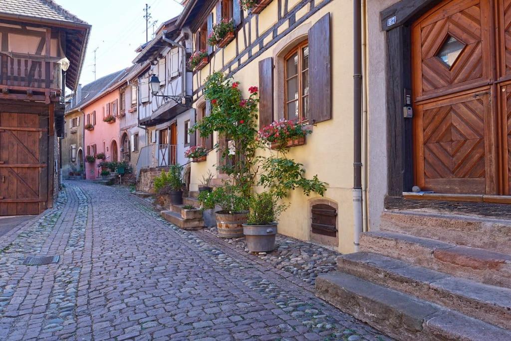 BREDALA**** Gîte maison Alsacienne avec Jardin – photo 28