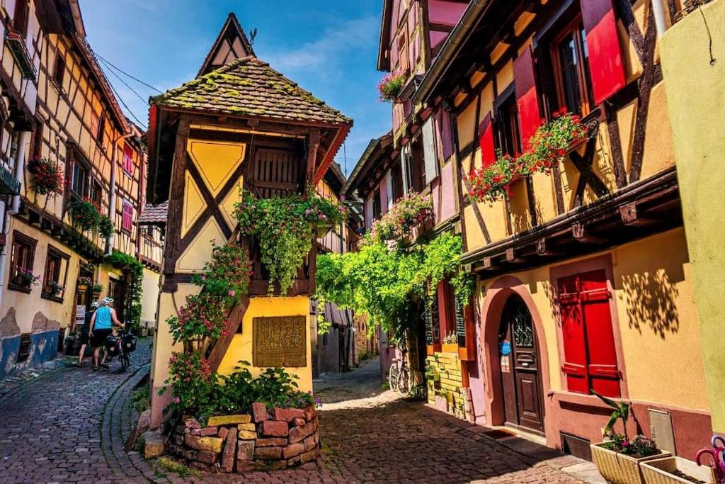BREDALA**** Gîte maison Alsacienne avec Jardin – photo 6
