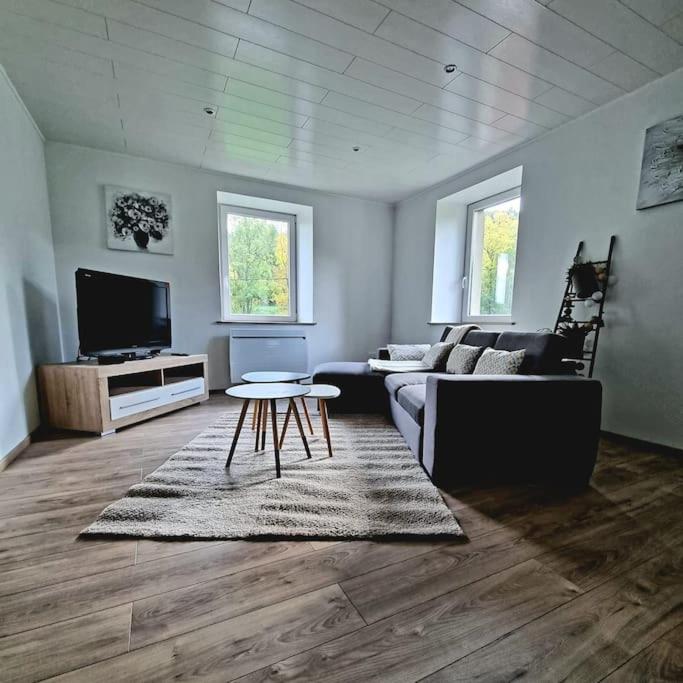 TV a/nebo společenská místnost v ubytování Appartement chaleureux 80m2