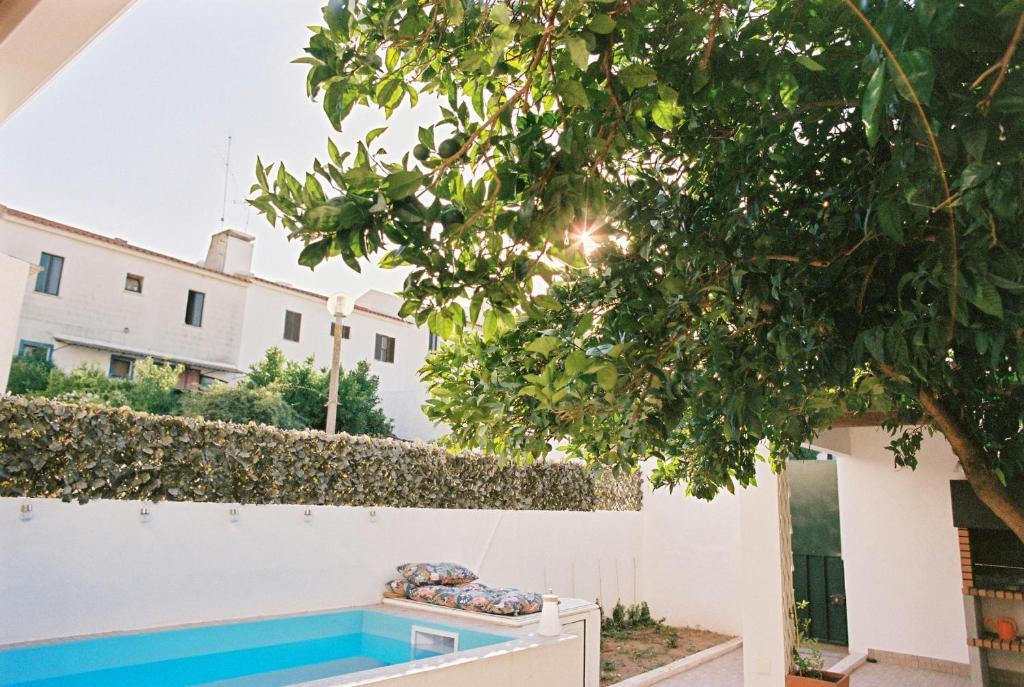 a swimming pool in front of a house with a tree at Casa das Termas - Cabeço de Vide in Cabeço de Vide