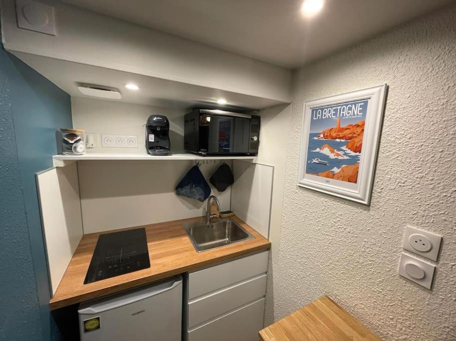 een kleine keuken met een wastafel en een laptop op een aanrecht bij Apartment Heart of Rennes Private Parking in Rennes