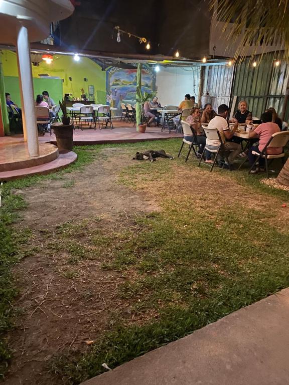 un gatto steso sull'erba in un ristorante di Hotel Posada Gutierrez a Panajachel