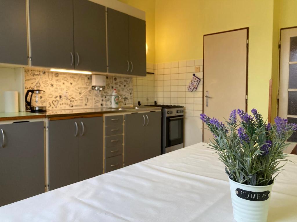 une cuisine avec un vase avec des fleurs violettes sur un comptoir dans l'établissement Spacious apartment - free parking!, à Prague