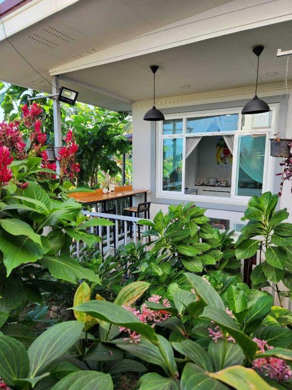 Annahouse - Resim 13