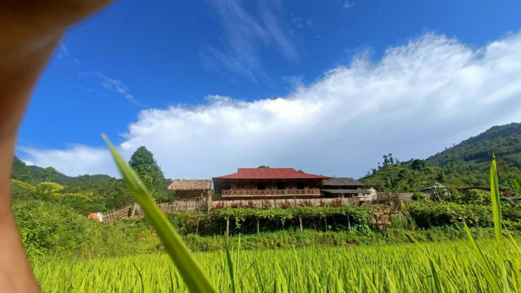 a building in the middle of a rice field at Bình Bản Liền Homestay 