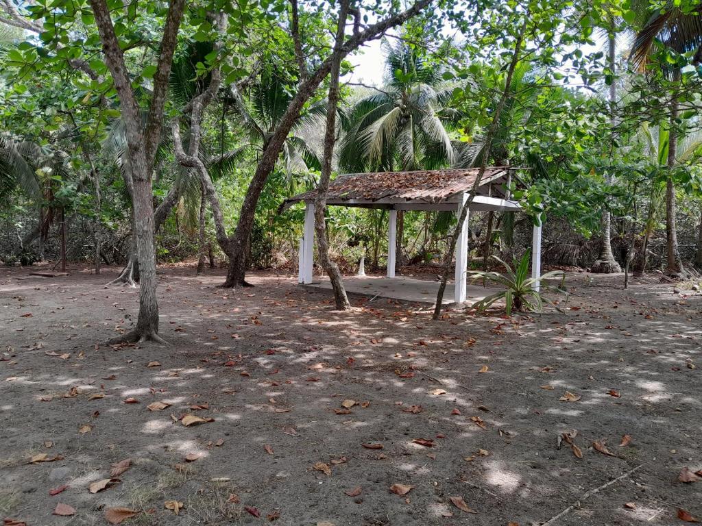 einen Stand inmitten eines Waldes mit Bäumen in der Unterkunft Sarita's House in Esterillos Este