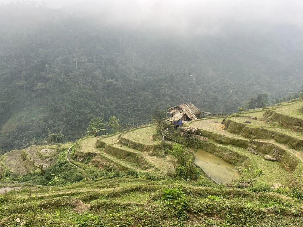 an aerial view of a mountain with terraced fields at Bikki jungle homestay in Ha Giang