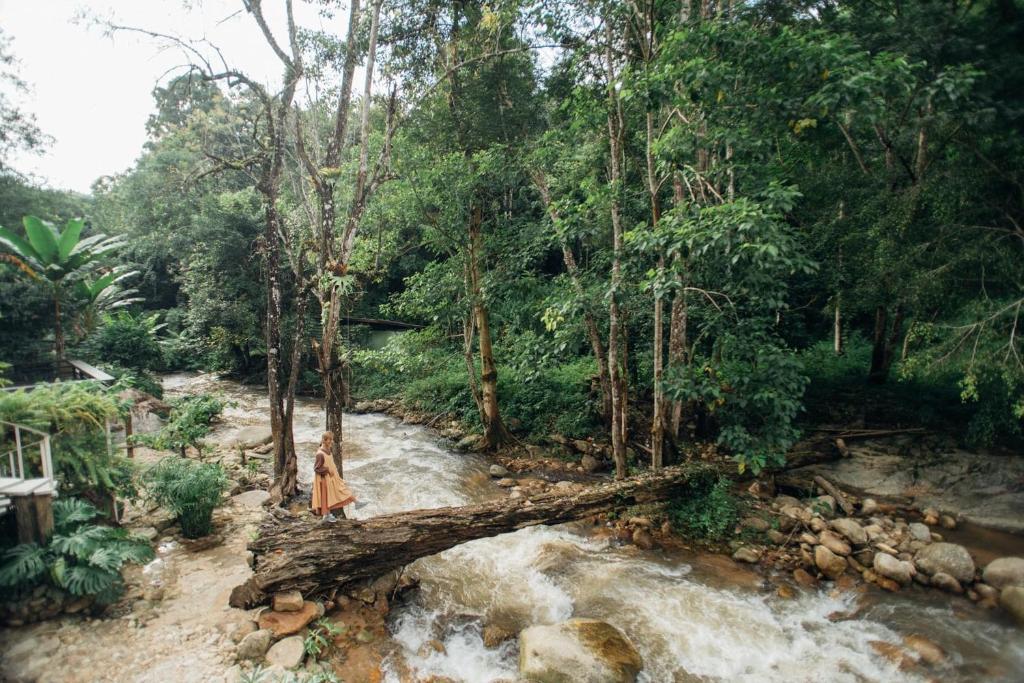 Taryn Tara Cafe and Stay - Resim 13