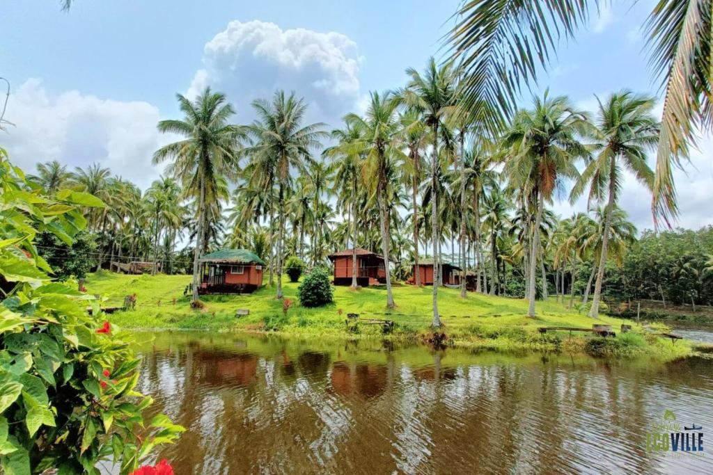 ośrodek wypoczynkowy z palmami i wodą w obiekcie Caliraya Ecoville Recreation and Farm Resort w mieście Cavinti