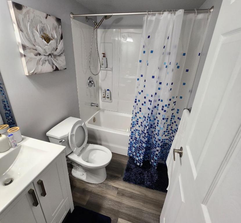 Bany a Entire Basement Suite with Private Entrance