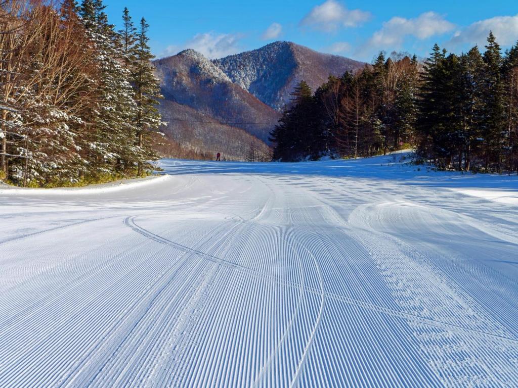 Vergrößerte Ansicht