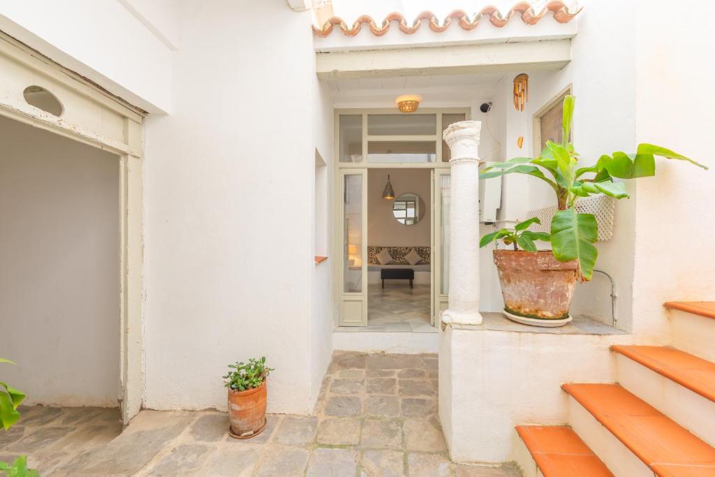 Φωτογραφία από το άλμπουμ του The Surfers Nest στην Ταρίφα