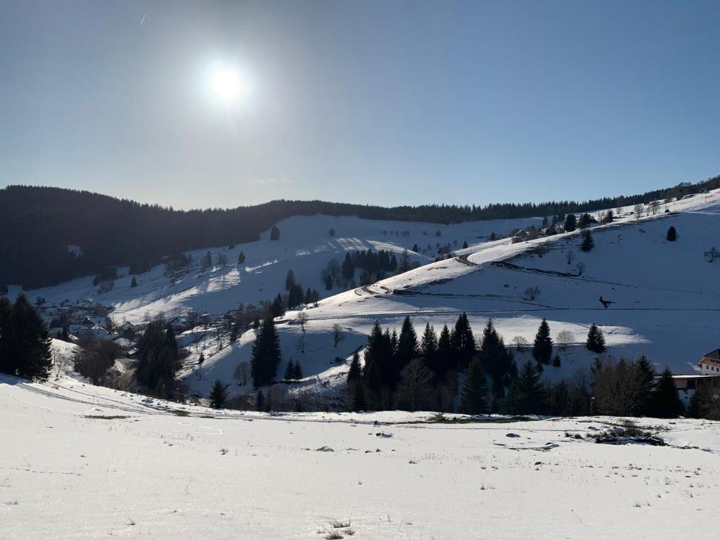 a snow covered slope with trees on a mountain at Haus Wiesenquelle, Deluxe-Apartment 'Feld & Berg' in Feldberg