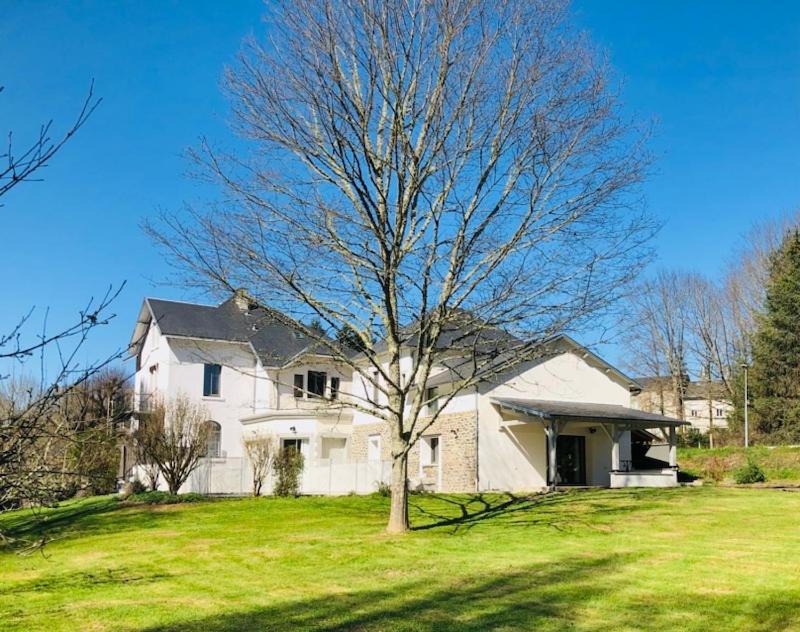 ein großes weißes Haus mit einem Baum im Hof in der Unterkunft Le Cottage limousin, chambres d'hôtes en bord de Vienne in Saint-Brice-sur-Vienne