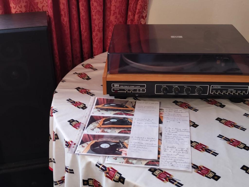 Fotografie z fotogalerie ubytování Vinyl House v destinaci Strekov