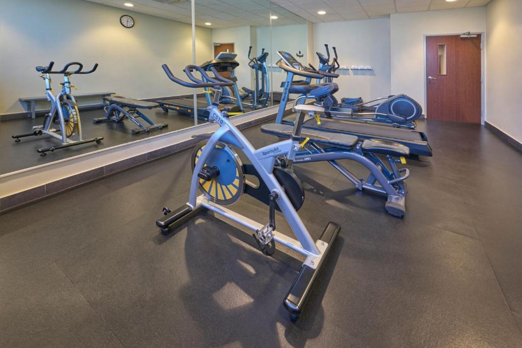 A compact fitness room with bikes, ellipticals and treadmills.