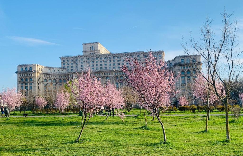 a large building with pink trees in a field at CHIC Apartment Piata Constitutiei - view from the balcony to the Palace of Parliament in Bucharest