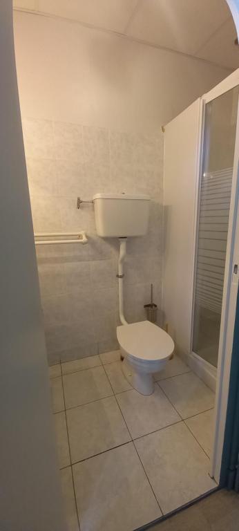 a bathroom with a white toilet in a room at Le green in Lamastre