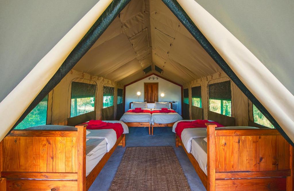 een groep van vier bedden in een kleine kamer bij Hakusembe River Camping2Go 