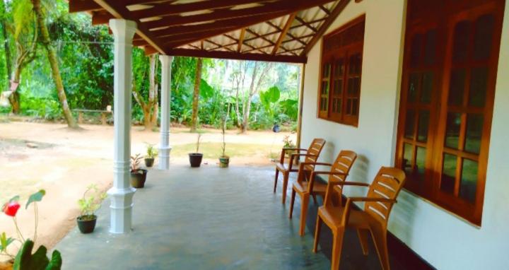 Zahrada ubytování Sinharaja Greenvilla