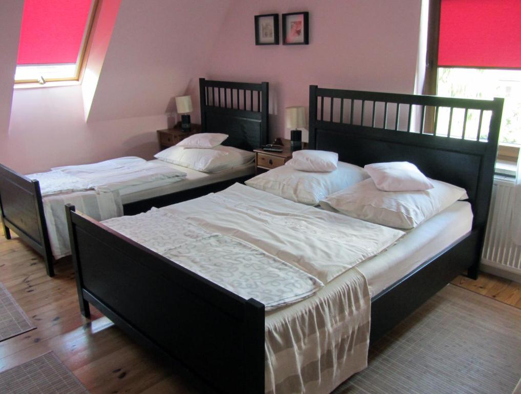 Willa w Ogrodzie - 18