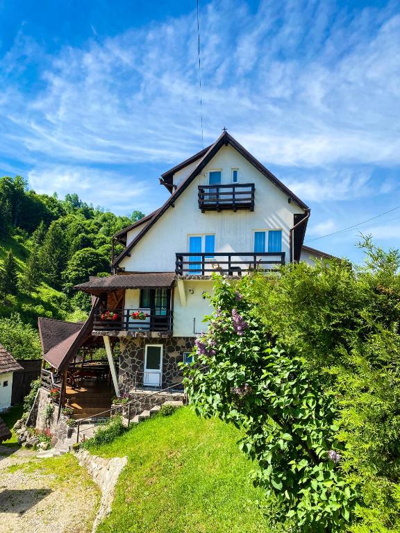a house with blue windows on top of a hill at Casa TOR - Moieciu de Jos in Moieciu de Jos