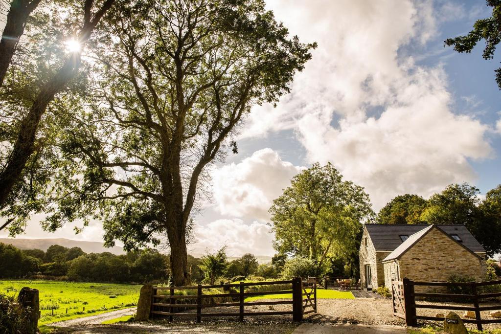 a farm house with a fence and a tree at Y Cartws Eglwyswrw in Eglwyswrw