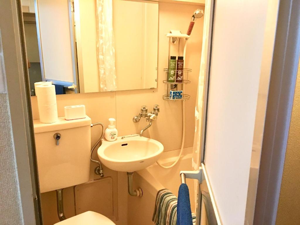 a small bathroom with a sink and a toilet at 4 minute walk to station. Direct to Shibuya and Shinjuku in 35minutes in Nishi-tsuruma