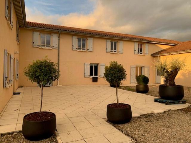 two trees in large pots in front of a building at Domaine de la Noiseraie in Belleville-sur-Saône