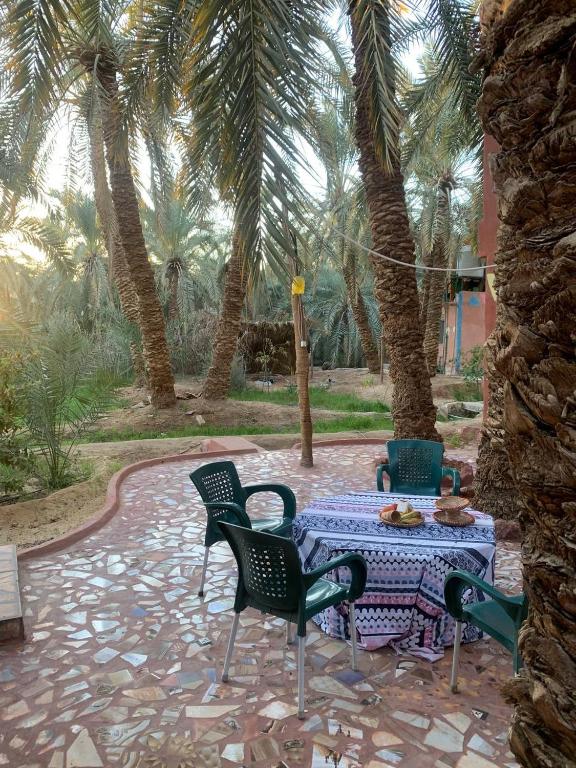 Zahrada ubytování Omar Oasis