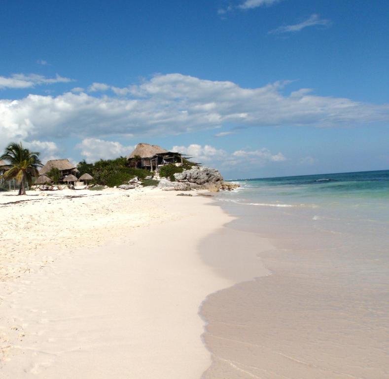 a beach with a house and the ocean at Punta Piedra Beach Posada in Tulum