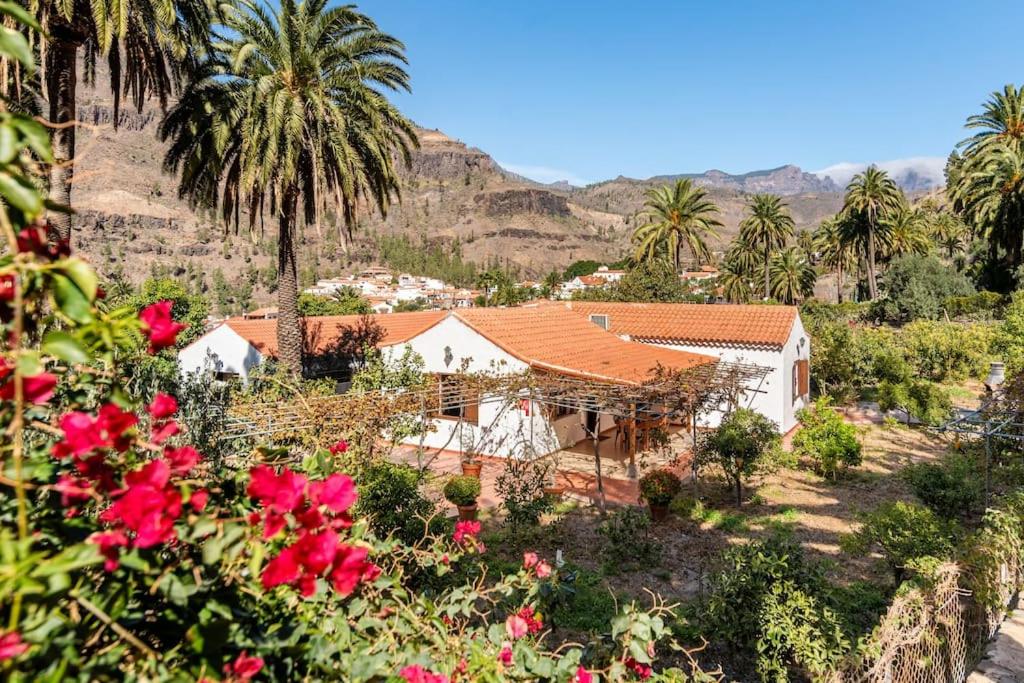 ein weißes Haus mit Palmen und roten Blumen in der Unterkunft Casa Simón in Fataga