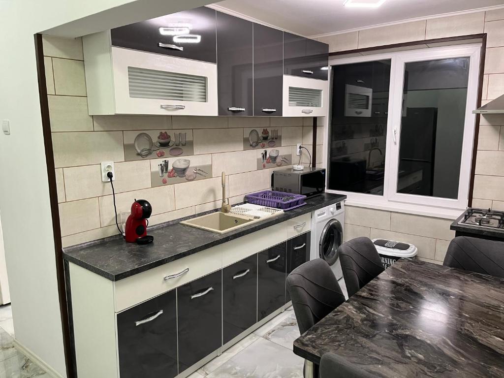 a kitchen with a sink and a washing machine at Karina Maliuc Apartment in Maliuc