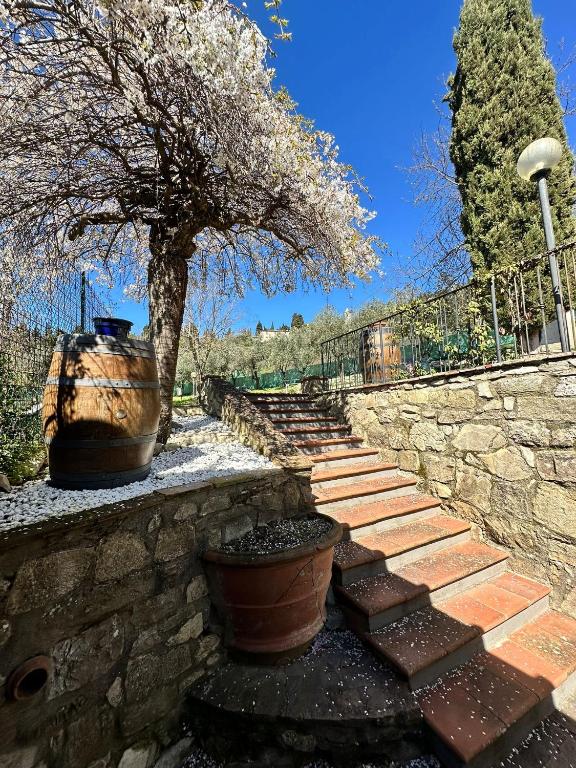 Zahrada ubytování Agriturismo Tassinaia