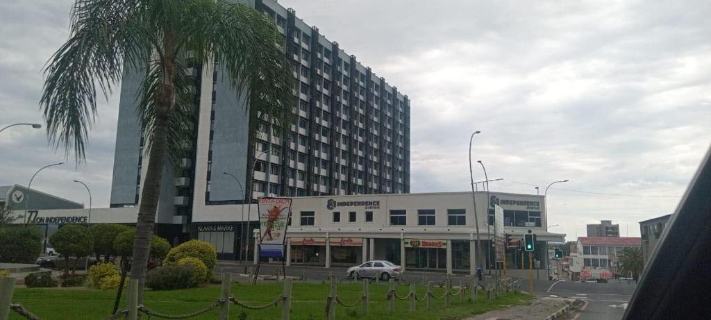 a building on a city street with a palm tree at Windhoek City Center self catering appartment on independance 77 unit 95 in Windhoek