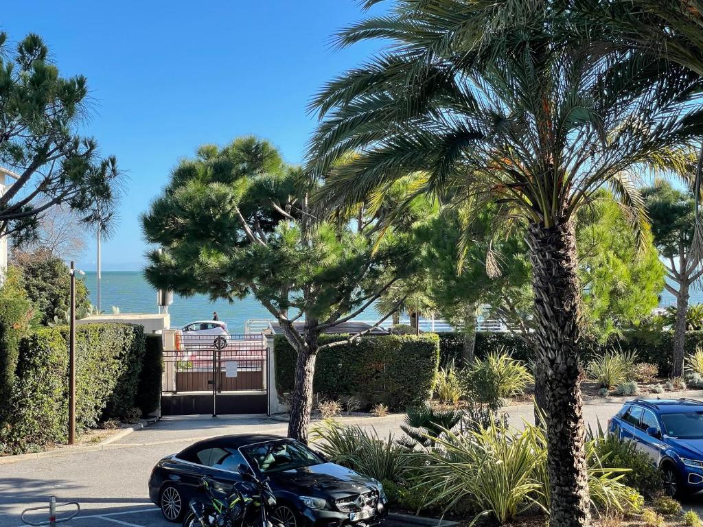 une voiture noire garée à côté d'un palmier dans l'établissement IMMOGROOM - Sea view - Terrace- Swimming-Pool 1 min from the beach, à Cannes