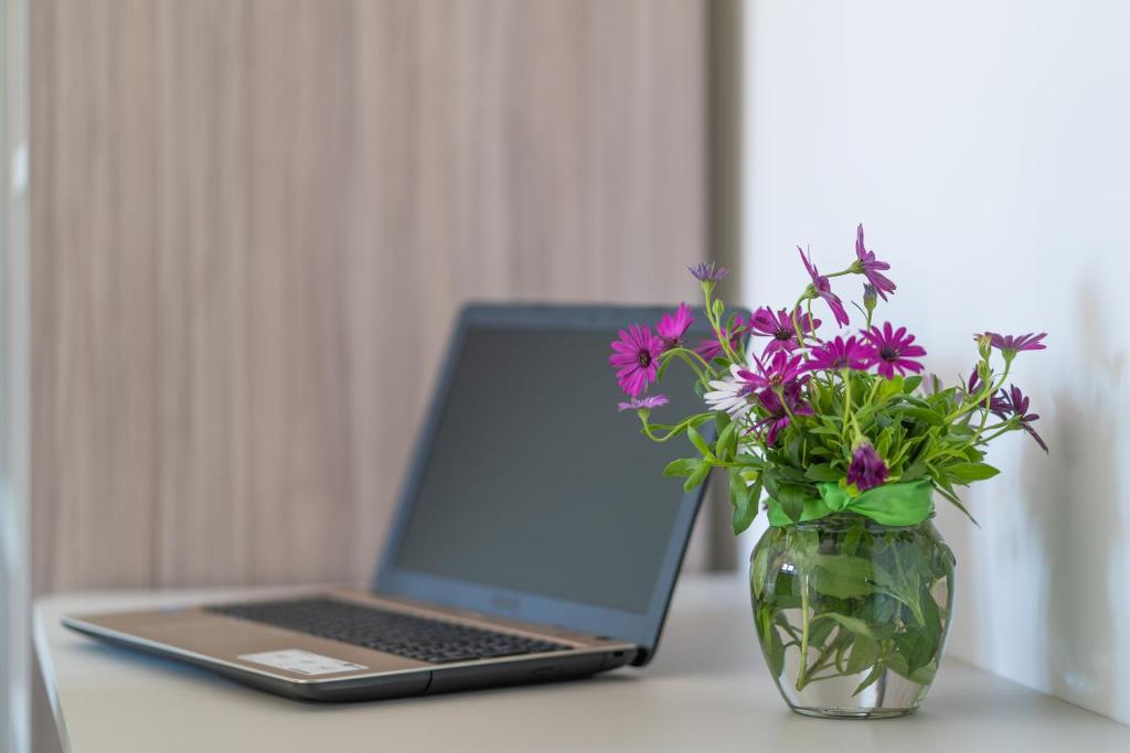 Villa La Pagaia Sorrento Coast - 9