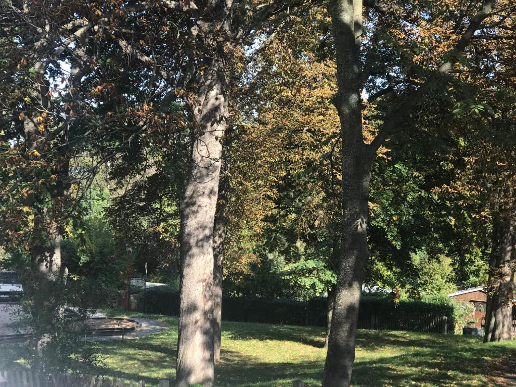 Zahrada ubytování Domizil Eutschützblick