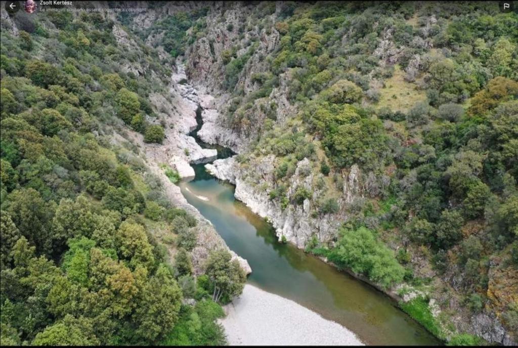 una vista aérea de un río en un bosque en New! La Ginestra,casa vacanze in montagna-Seulo Sardegna, en Seùlo