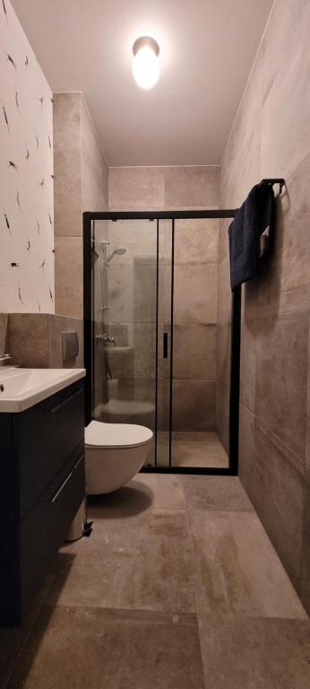 a bathroom with a shower and a toilet and a sink at Stara Szafa - Komfortowy dom nad jeziorem in Łajs
